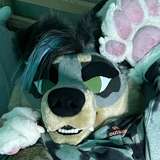 crownmutt from onlyfans