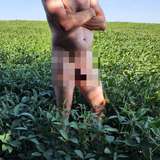 midwesthomesteader from onlyfans